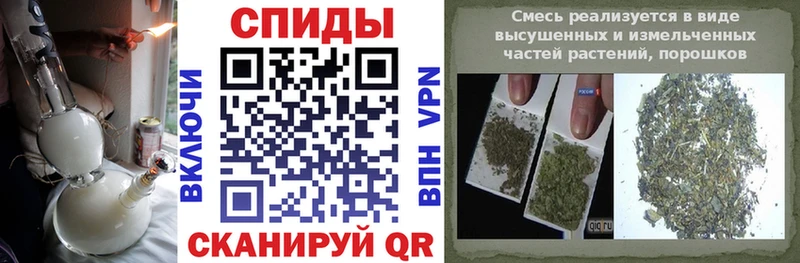 маркетплейс формула Жердевка Бутират BDO