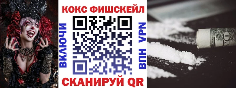 закладки  гидра как зайти  Cocaine Fish Scale  Жердевка 