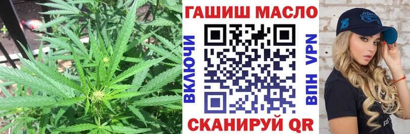 дарк нет телеграм  цена наркотик  Жердевка  Дистиллят ТГК гашишное масло 